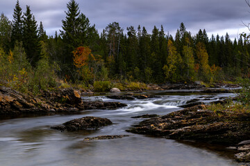 Norwegische Wasserläufe mit angrenzenden Wäldern
