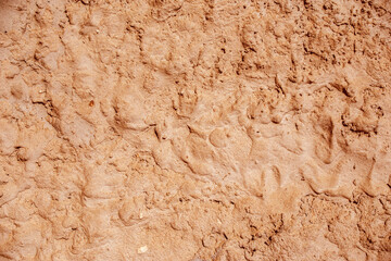 Brown exposed concrete wall Texture.