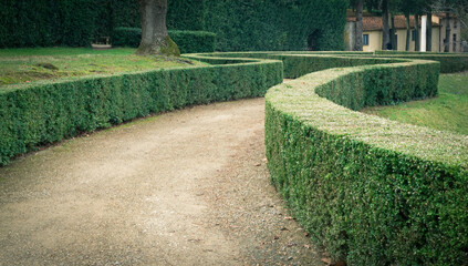 Alley in the park