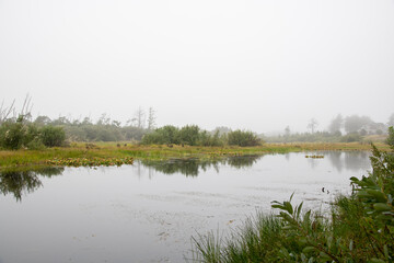 Misty Morning Plains Grass Walking Path Landscape River