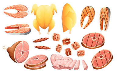 Set of different types of meat chicken pig beef and fish vector illustration on white background