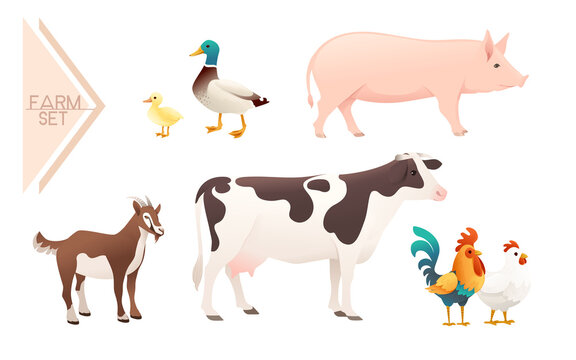 Set of domestic farm animals vector illustration on white background