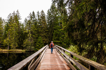 étang de la gruère, la gruère, See, Moorsee, Moor, Weiher, Hochmoor, Wanderweg, Wanderer, Holzbrücke, Wald, Waldweg, Wasserpflanzen, Torfmoos, Jura, Naturschutz, Herbst, Herbstfarben, Schweiz