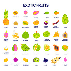 Exotic fruits set. Tropic fruit collection. Template for your design works. Doodle style vector illustration.