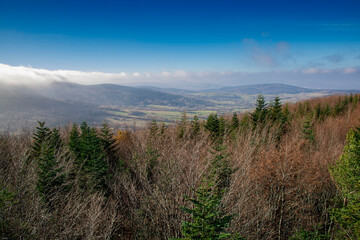 View from observation tower called Ferdel, located in Beskid Niski Mountains (Malopolska, Poland)  - obrazy, fototapety, plakaty