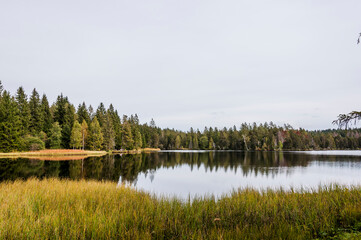 étang de la gruère, la gruère, See, Moorsee, Moor, Weiher, Hochmoor, Wanderweg, Spiegelung, Wald, Waldweg, Wasserpflanzen, Torfmoos, Jura, Naturschutz, Sommer, Herbst, Herbstfarben, Schweiz