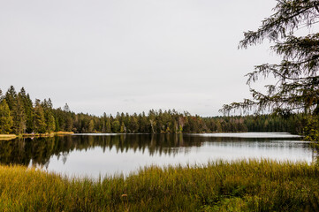 étang de la gruère, la gruère, See, Moorsee, Moor, Weiher, Hochmoor, Wanderweg, Spiegelung, Wald, Waldweg, Wasserpflanzen, Torfmoos, Jura, Naturschutz, Sommer, Herbst, Herbstfarben, Schweiz
