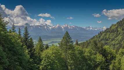 Valley on the hiking trail to "Trzy Korony" peak with amazing view of Tatra (Tatry) mountains in Poland.  © marekfromrzeszow