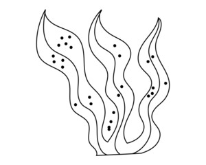 seaweed with a black outline. The vector illustration is hand-drawn. Algae icon for coloring, tattoo sketch, sticker. Vector illustration