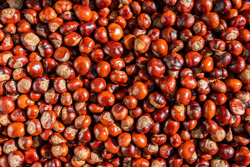 A lot of big brown chestnuts