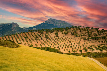 Obraz premium mountain Spain