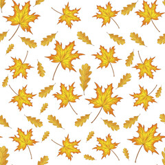 seamless pattern autumn maple and oak leaves