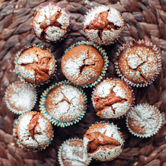 chocolate chip muffins