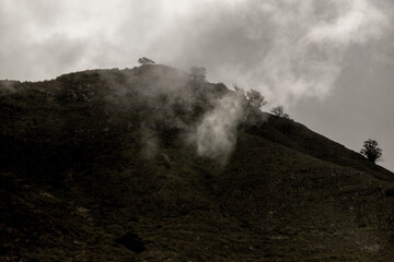 Naklejka premium Niebla (Tenerife)