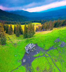 Obraz premium Sheep near the shepherd's house in the mountains