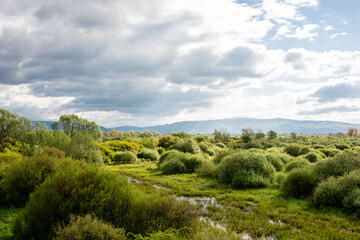 Fototapeta premium Senne fishponds bird protected area under Vihorlat mountain in eastern Slovakia