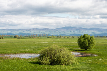 Senne fishponds bird protected area under Vihorlat mountain in eastern Slovakia