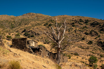 Abandoned slate farmhouse in the Poqueira Valley, Las Alpujarras, Sierra Nevada National Park, Andalusia, Spain