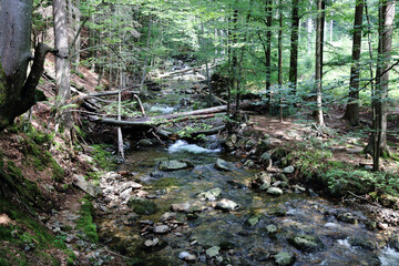 Landschaft Bayern - Bayrischer Wald - Riesbach / Landscape Bavaria - Bavarian Forest - Riesbach /