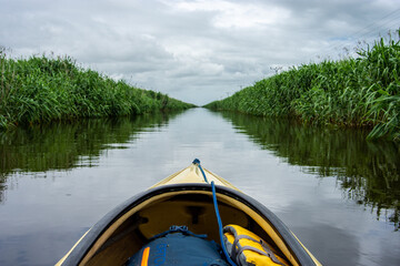 Kayaking among structures of water plants in Danube delta national park, Romania