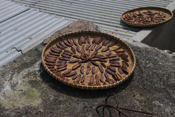Sale pisang is an Indonesian traditional banana snack that is sliced and laid out in the sun to dry. A group of dried sliced bananas on a container called 