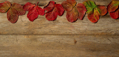 Naklejka na ściany i meble Autumn leaves on top on a wooden background