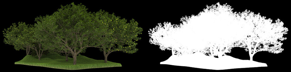 Forest isolated on background with mask. 3d rendering - illustration