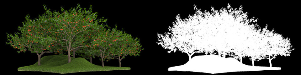 Forest isolated on background with mask. 3d rendering - illustration