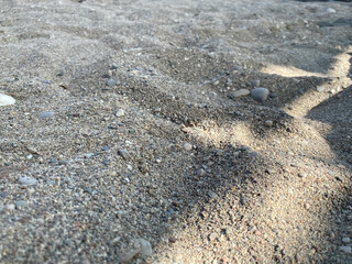 Sand background with small shells. Top view of the sandy beach. The texture of the sand. Light beige shade. The natural background