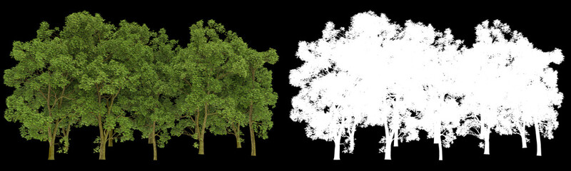 Obraz premium Forest isolated on background with mask. 3d rendering - illustration