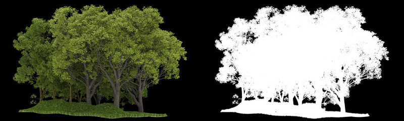 Forest isolated on background with mask. 3d rendering - illustration