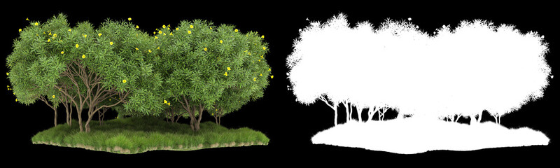Forest isolated on background with mask. 3d rendering - illustration