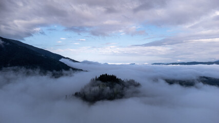 Primeval forest of Fagaras mountains national park in Romania
