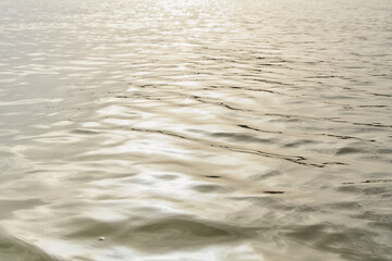 The sea lit by sunlight