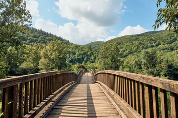 Fototapeta na wymiar Wooden bridge in the mountain
