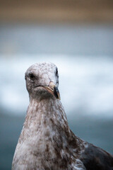 A Day in Los Angeles