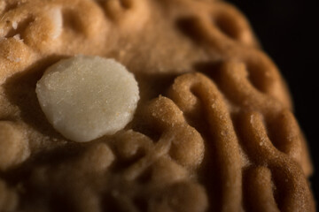 Close up of texture vanilla cookie on a black wooden table