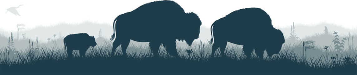 Seamless panorama of the prarie with brown zubr buffalo bison family, heron and Prairie dog  © Save Jungle