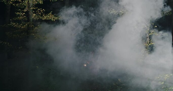 Witch walking through fume in forest