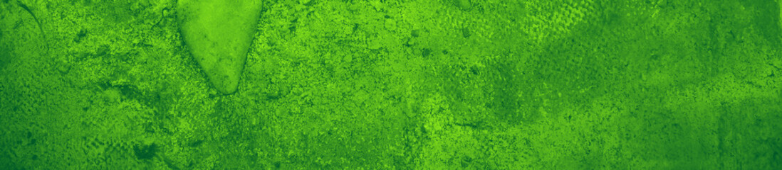 abstract green bright color background for design