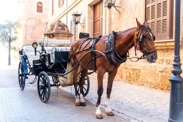 Tuinposter Horse and sleigh ride on Palma de Mallorca street © Nataliya Schmidt