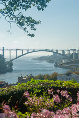 Vertical view of the Arrabida Bridge and river Douro with beautiful pink flowers in the foreground scenic composition landscape - Porto, Portugal, Vertical
