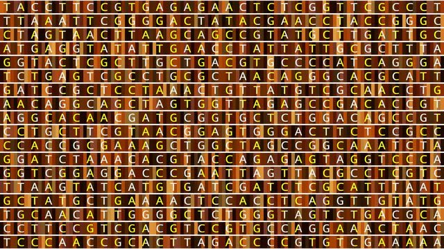 Loopable: Genetic mapping DNA sequence analysis abstract background with changing DNA components A, T, G, C. Genomic data analysis concept.