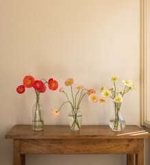Vertical view of three glass vases of red, pink and white poppies on oak sidetable against beige wall