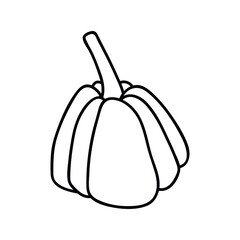 Single hand drawn pumpkin. Doodle vector illustration. Isolated on a white background. Thanksgiving decor
