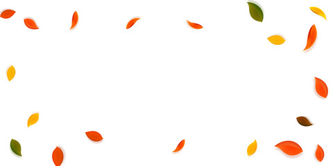 Falling autumn leaves. Red, yellow, green, brown n