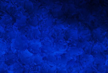 Dark BLUE vector doodle texture with roses, flowers.