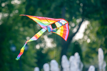 Colored flying kite flies against the background of trees. Leisure and outdoor recreation