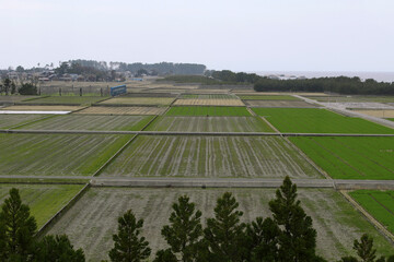 綺麗に区画された正方形の田園