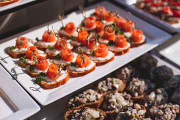 Catering table, beautifully decorated banquet with variety of with different food snacks and appetizers on corporate birthday party event or wedding celebration, seafood, canape, delicatessen setting